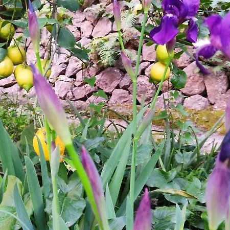 Ca Na Menga Soller