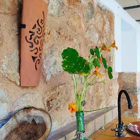 Holiday home Ca Na Menga