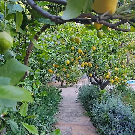 Сasa de vacaciones Ca Na Menga Sóller